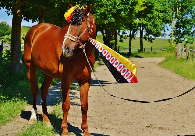 争冠决战在即，细谷真大：对手擅长定位球，我想全力以赴争冠