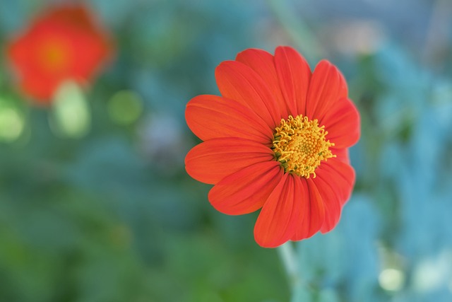 完胜河南队，北京国安第5次登顶足协杯：击败渴望创造历史的黑马，球队期望一扫阴霾