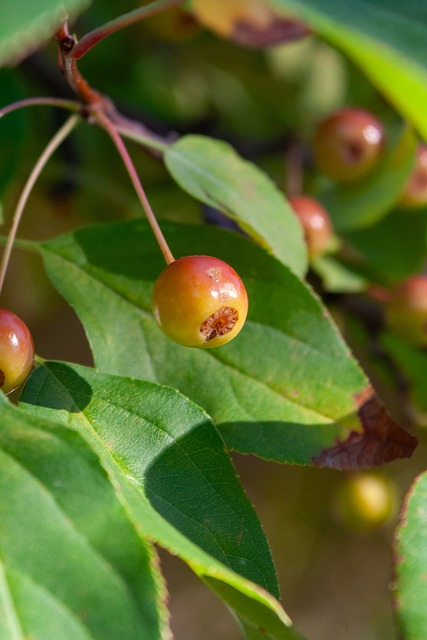 CBA：山西男篮主场大胜北控
